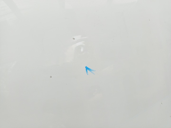 фото №8, Mercedes sprinter w907 w910 2018- капот кришка двигуна ÷