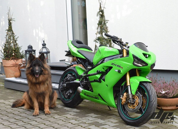 Выхлоп глушитель короткий kawasaki zx6r 636 (03-04) stu из Allegro.pl