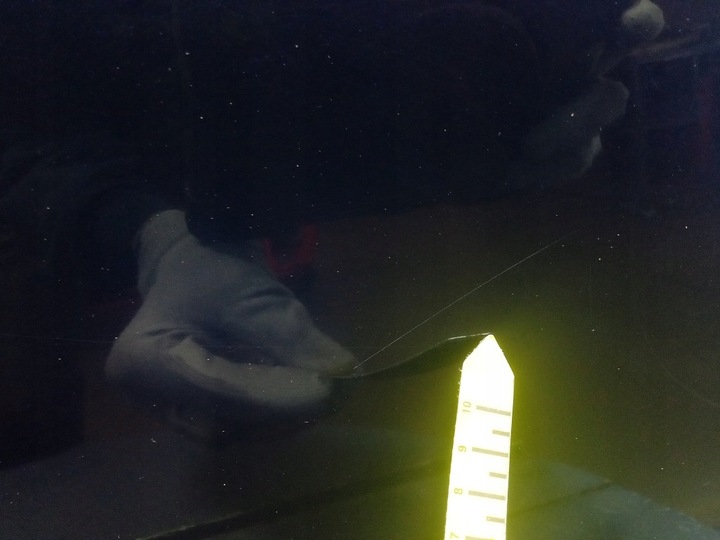 фото №8, Honda civic viii fd sedan 07- двері перед праві передні b-536p