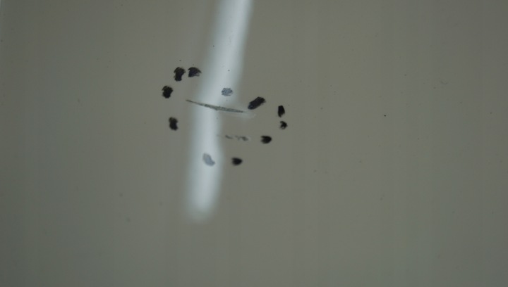 фото №9, Peugeot 207 sw рестайлінг капот кришка перед ewpb