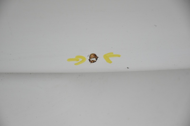 фото №9, Кришка задня зад range rover sport l320 камера