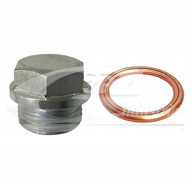 фото №1, Винт + прокладка spustu масла renault master ii