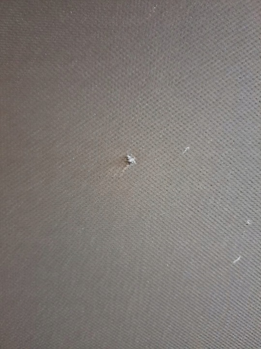 фото №7, Панорама audi a4 b9 універсал 8w9877041b