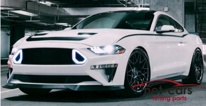 фото №8, Решітка середня решітка радіатора led ford mustang 6 15-17r rtr