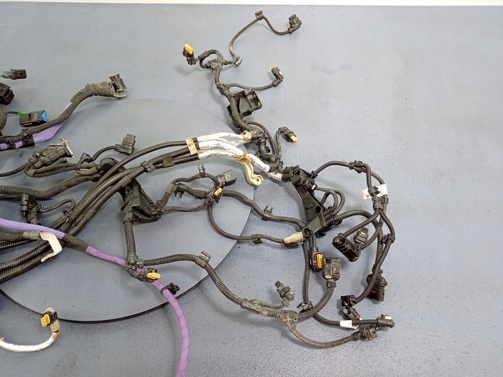 фото №8, Bmw 7 g11 g12 3.0d b57 жгут двигателя 7925929