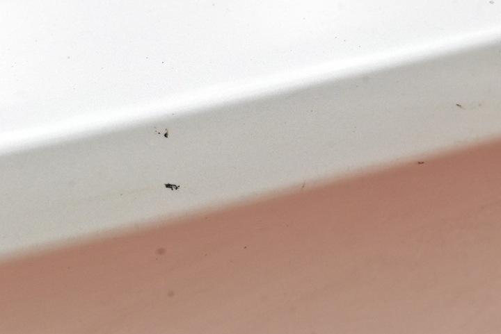 фото №6, Накладка ручка кришки зад задня c08010034 subaru legacy 5 v універсал 09-13