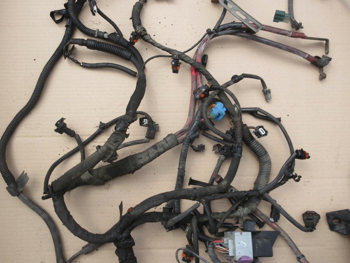 фото №12, Renault grand scenic iii 1.9 dci 130 km f9q870 джгут двигуна