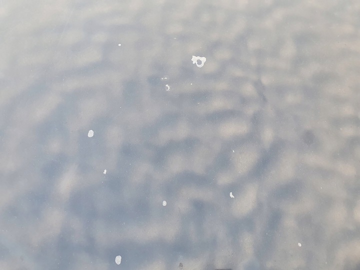 фото №5, Капот кришка двигуна audi a8 d3 рестайлінг 05-09 lz5d