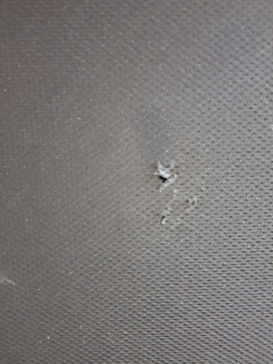 фото №8, Панорама audi a4 b9 універсал 8w9877041b