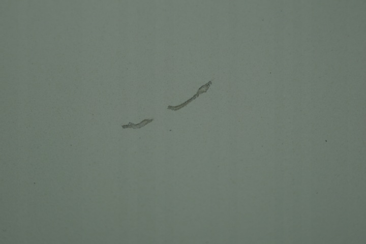 фото №8, Двері лівий зад peugeot 3008 i