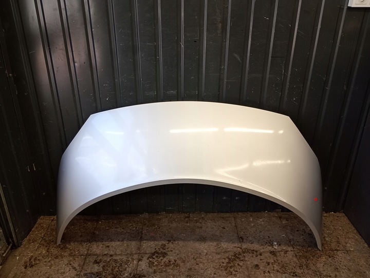 фото №1, Капот renault scenic ii ted69