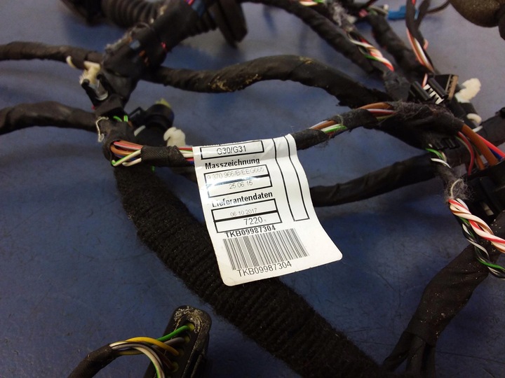 фото №7, Bmw 5 g30 жгут дверь правые зад 11107810