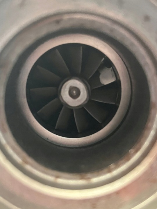 фото №6, Новая турбокомпрессор vw golf vii 7 audi 1.6 tdi 04l253016h 813860-0003