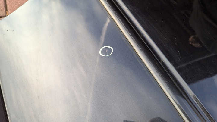 фото №7, Дверь задние зад левая audi a3 8l рестайлинг lz9u