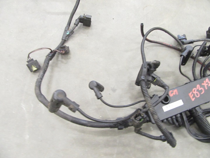 фото №5, Жгут двигателя установка bmw e83 x3 3.0 m57n 204km европа 2005r. euro3