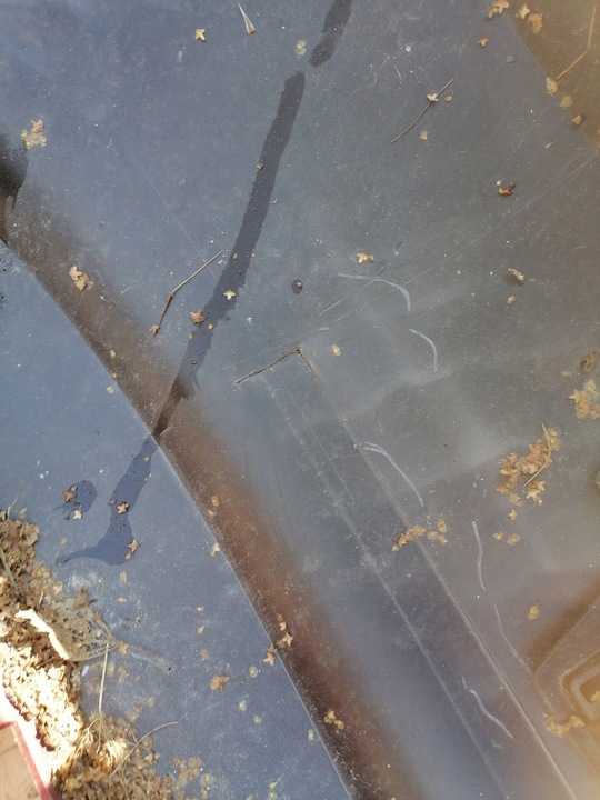 фото №8, Бампер зад audi a3 5d sportback 8p4807511