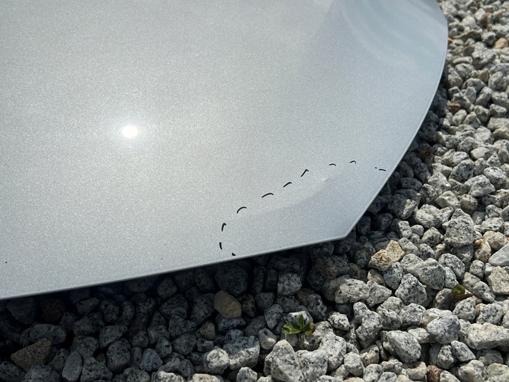 фото №6, Капот передняя перед opel astra k 5 v 15-19 красивая