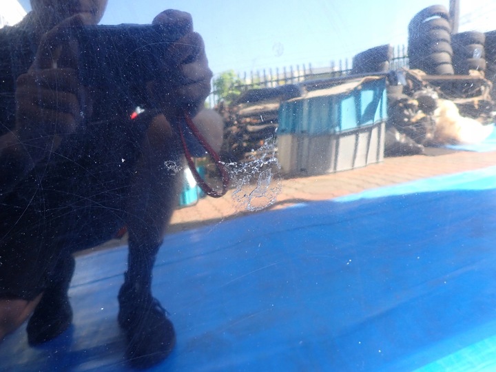 фото №5, Nissan micra k13 10-13 капот кришка двигуна kh3g