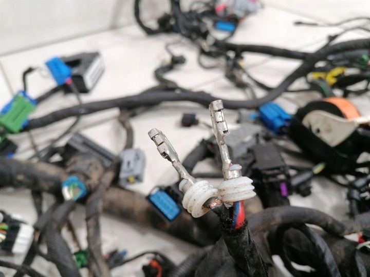 фото №9, Ferrari roma f169 проводка loom rhd основний harness