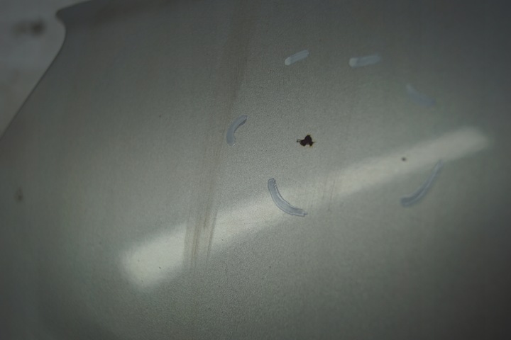 фото №10, Крыло левый перед opel antara z157 org