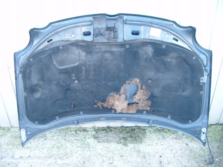 фото №6, Vw polo 9n 01- okularnik - капот гарна