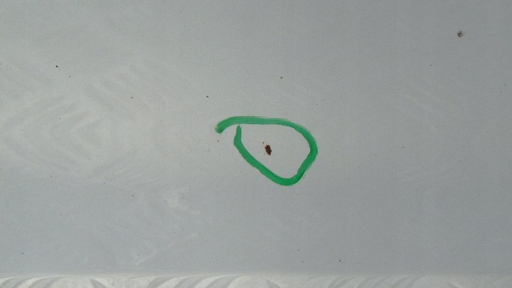 фото №5, Mercedes w203 дверь правые левая зад задние универсал c744r