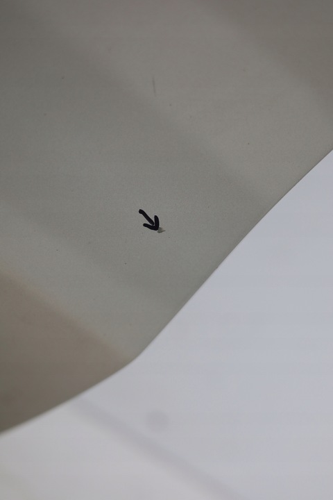 фото №13, Дверь правые перед передние зад задние bmw x3 g01 c1n м-пакет