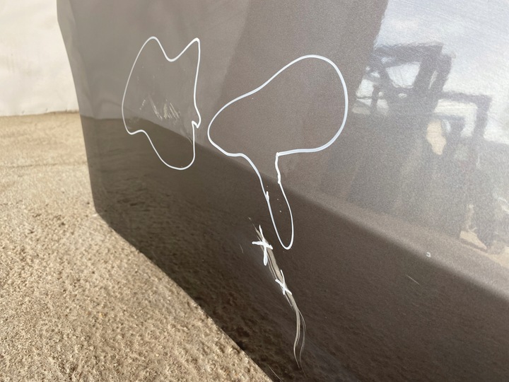 фото №10, Kangoo iii iv citan ii w420 townstar 2021r- дверь сдвижные правые