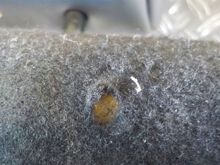 фото №6, Jumpy expert proace iii 18- сидіння пасажира диван