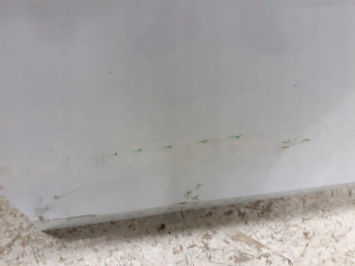 фото №5, Дверь передние перед правые skoda octavia iv 4 5e3 2020-