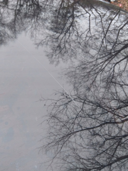 фото №5, Smart fortwo iii 453 дах сонячний панорама 2014-