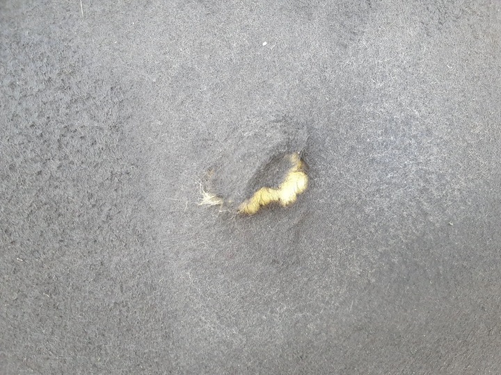 фото №9, Land rover evoque i l538 капот перед передня