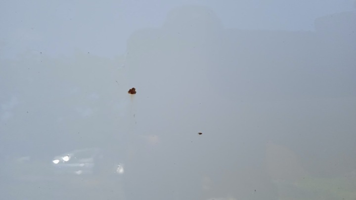 фото №12, Mini cooper r56 дверь перед правые 850/0 3d