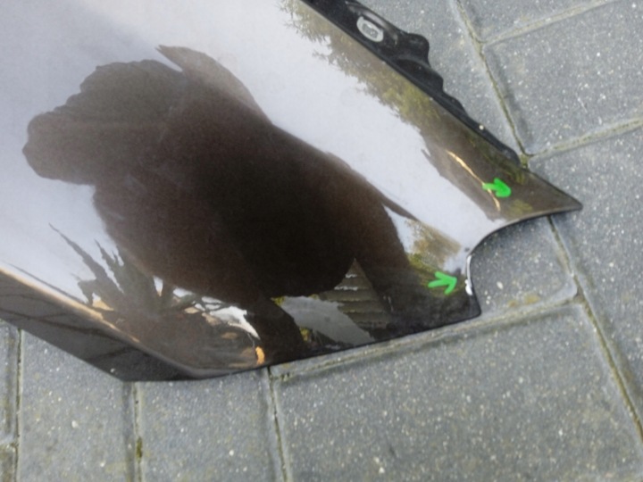 фото №9, Крыло правые перед правые переднее mercedes ml w166 2011-2015