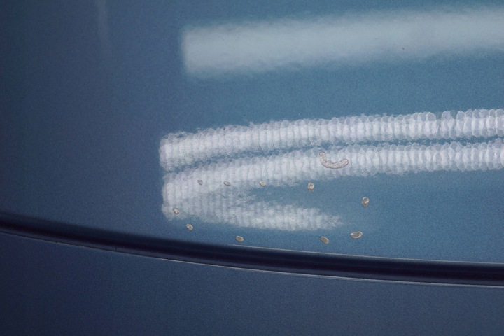 фото №10, Renault megane iii купе рестайлінг кришка задня багажника terpb m717