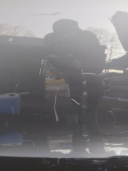 фото №5, Дверь левая левый перед передние audi q5 sq5 8r 08-16