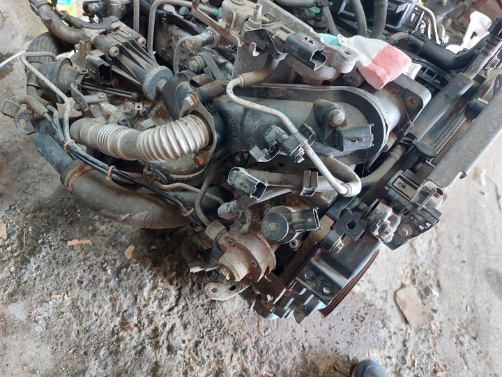 фото №10, Двигатель peugeot citroen 1.4 hdi 10fdbz