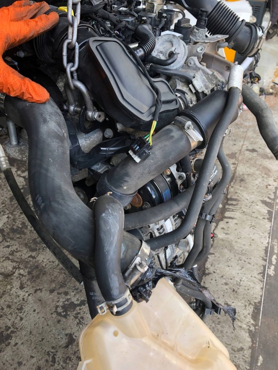 фото №9, Двигун ford transit courier