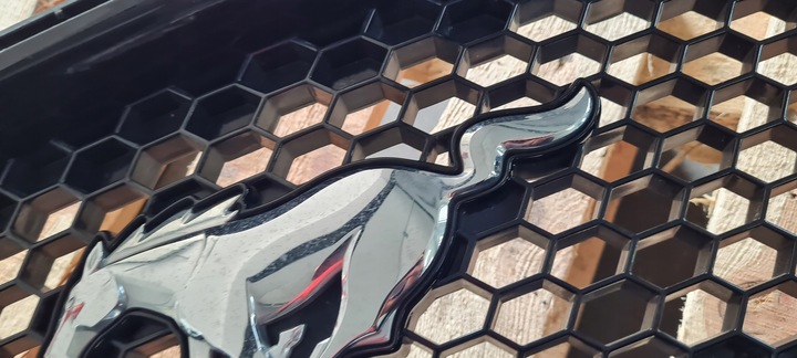 фото №11, Mustang vi рестайлинг gt решётка радиатора решётка бампера перед jr3b-8200-dew