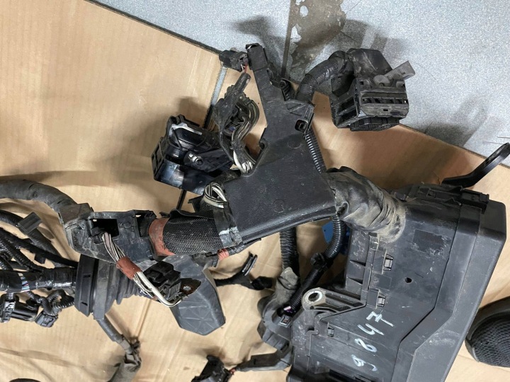фото №8, Toyota camry viii xv70 17- установка жгут камеры двигателя 2.5 гибрид eu