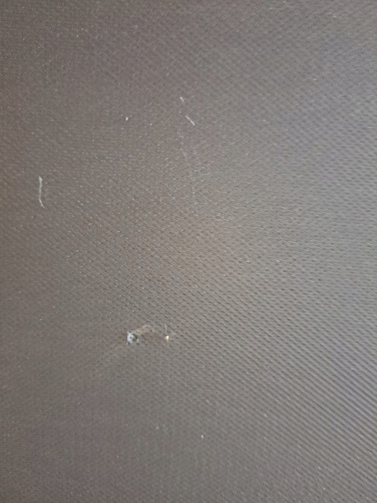 фото №9, Панорама audi a4 b9 універсал 8w9877041b