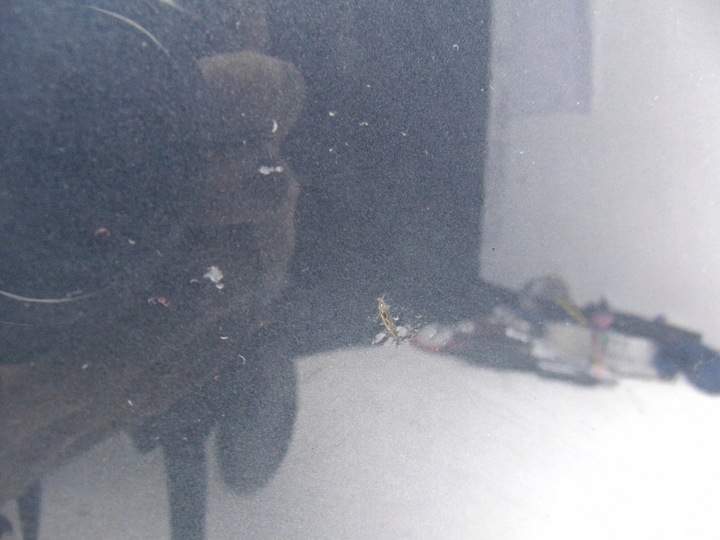 фото №9, Дверь правый правые перед vw passat b7 lk7x