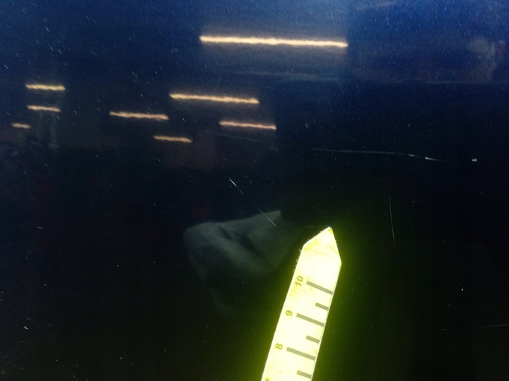 фото №11, Honda civic viii fd sedan 07- дверь зад левая задние b-536p