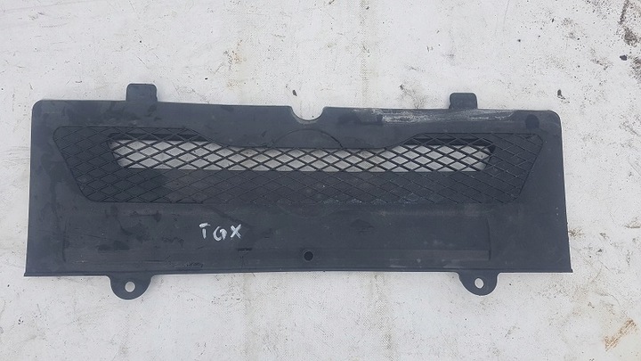 фото №1, Сітка захист корпус капота man tgx 81611500136