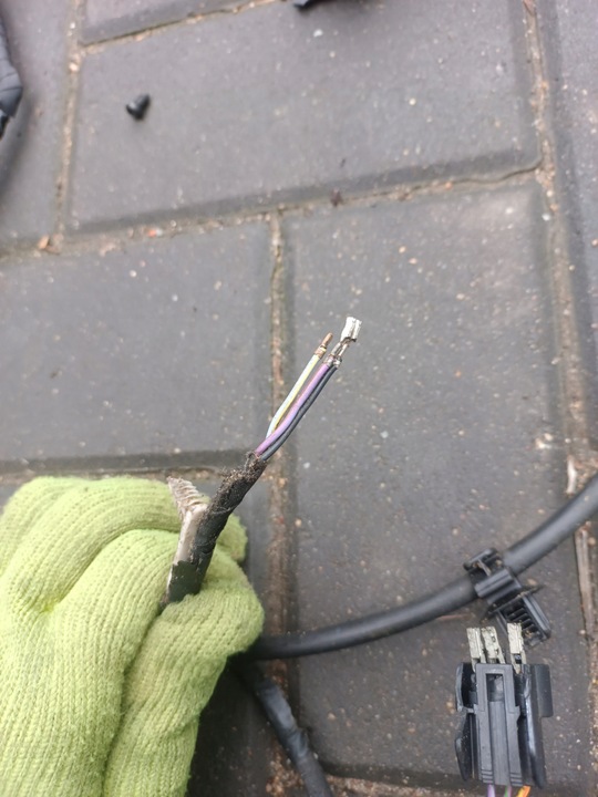 фото №16, Ford mustang mach-e 20- джгут бампера передньої 2xpdc lj8t-15k867-nbd us