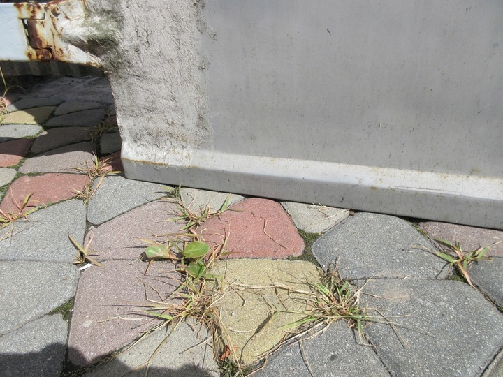 фото №11, Iveco daily ii 35-8 89-99 двері задні ліві праві