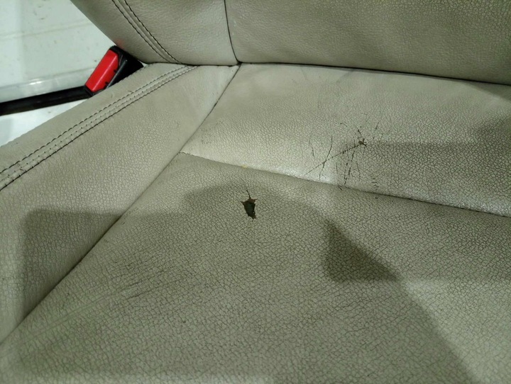 фото №10, Bmw f25 x3 сиденья sport кожа салон диван