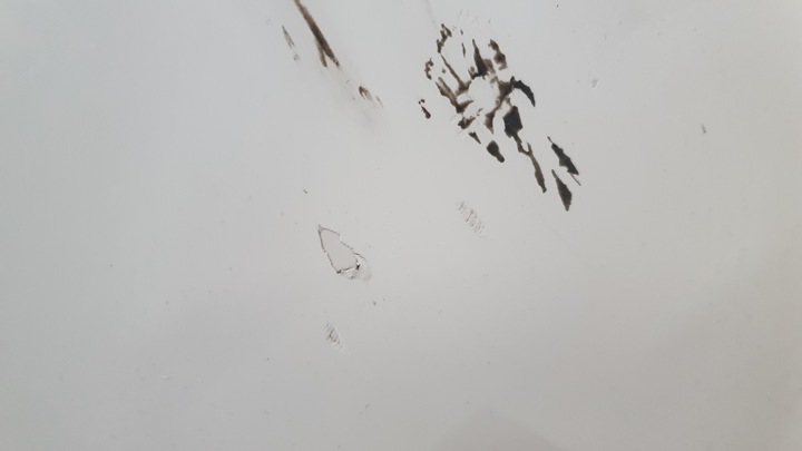 фото №6, Двері перед передні праві vw arteon 3g8831312g