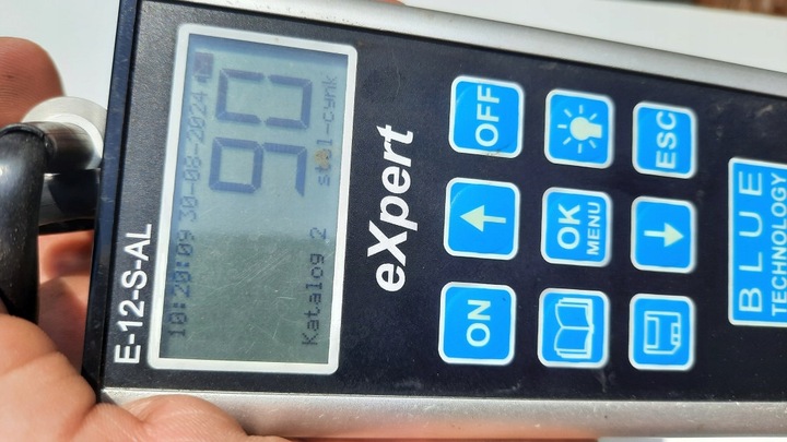 фото №10, Дверь зад задние правые renault traffic iii