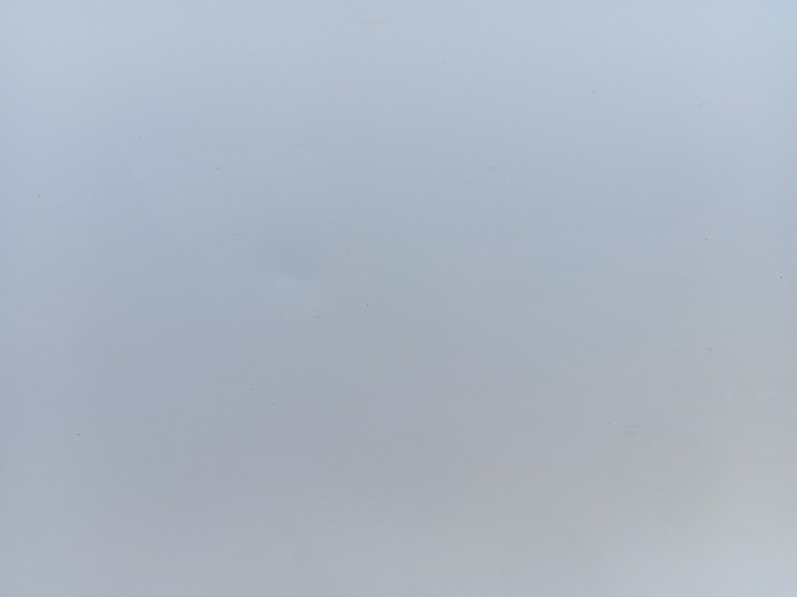 фото №14, Дверь левый перед белый vw passat b7 lb9a